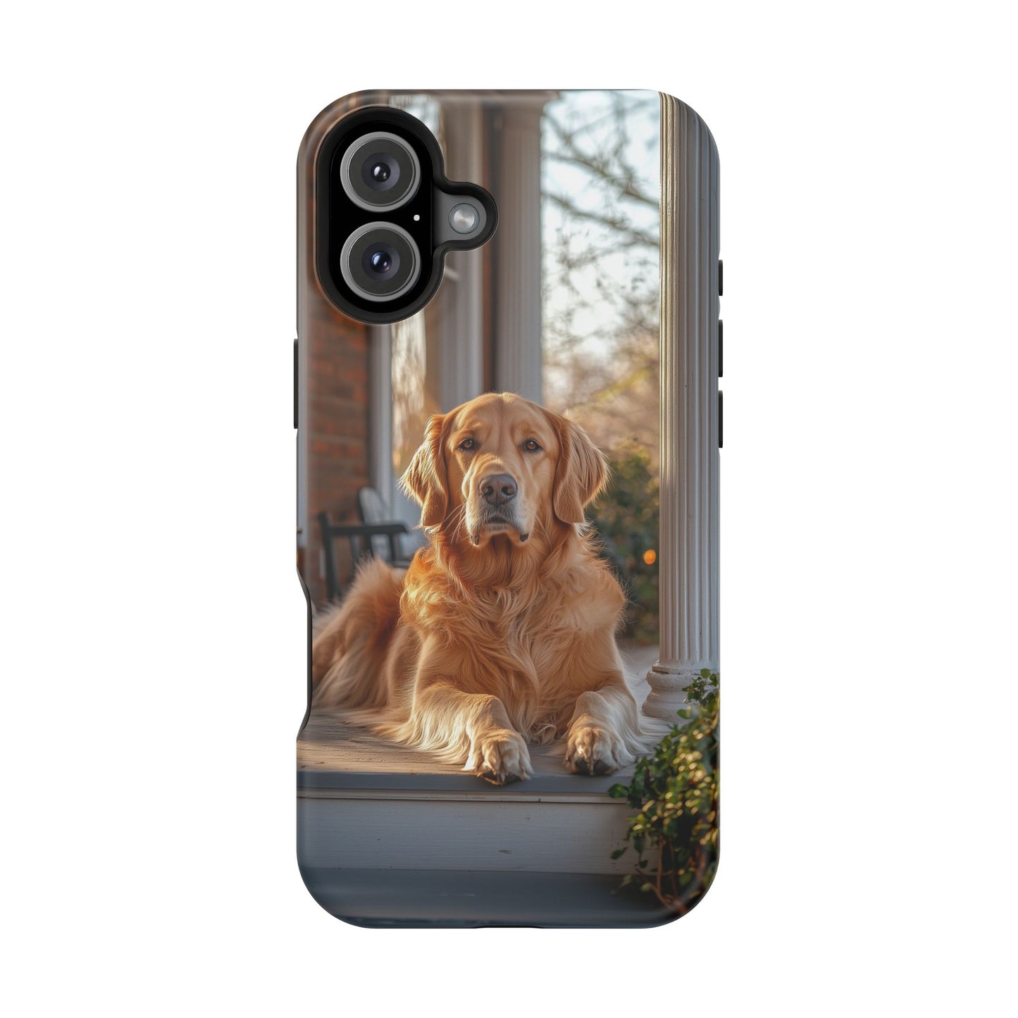 Golden Retriever on Porch - iPhone MagSafe Series Case