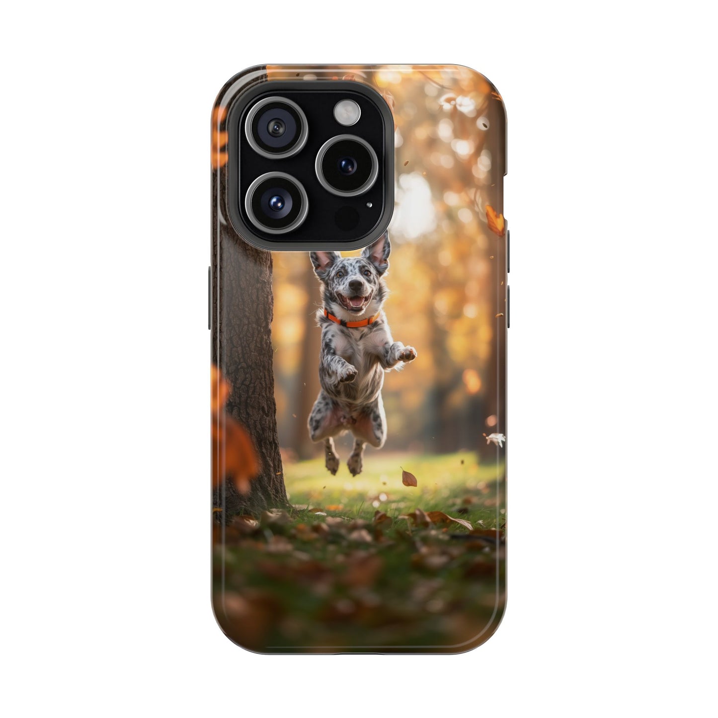 Energetic Blue Heeler Forest Pup MagSafe iPhone Case – Durable Outdoor-Inspired Design