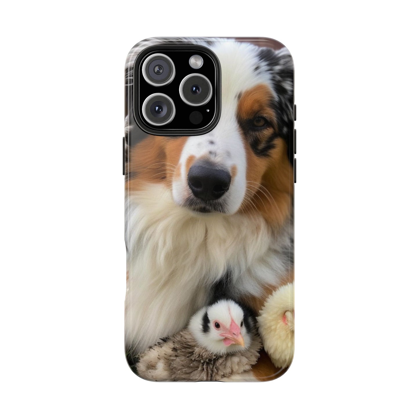 Aussie Farm Dog and Baby Chicks Phone Case