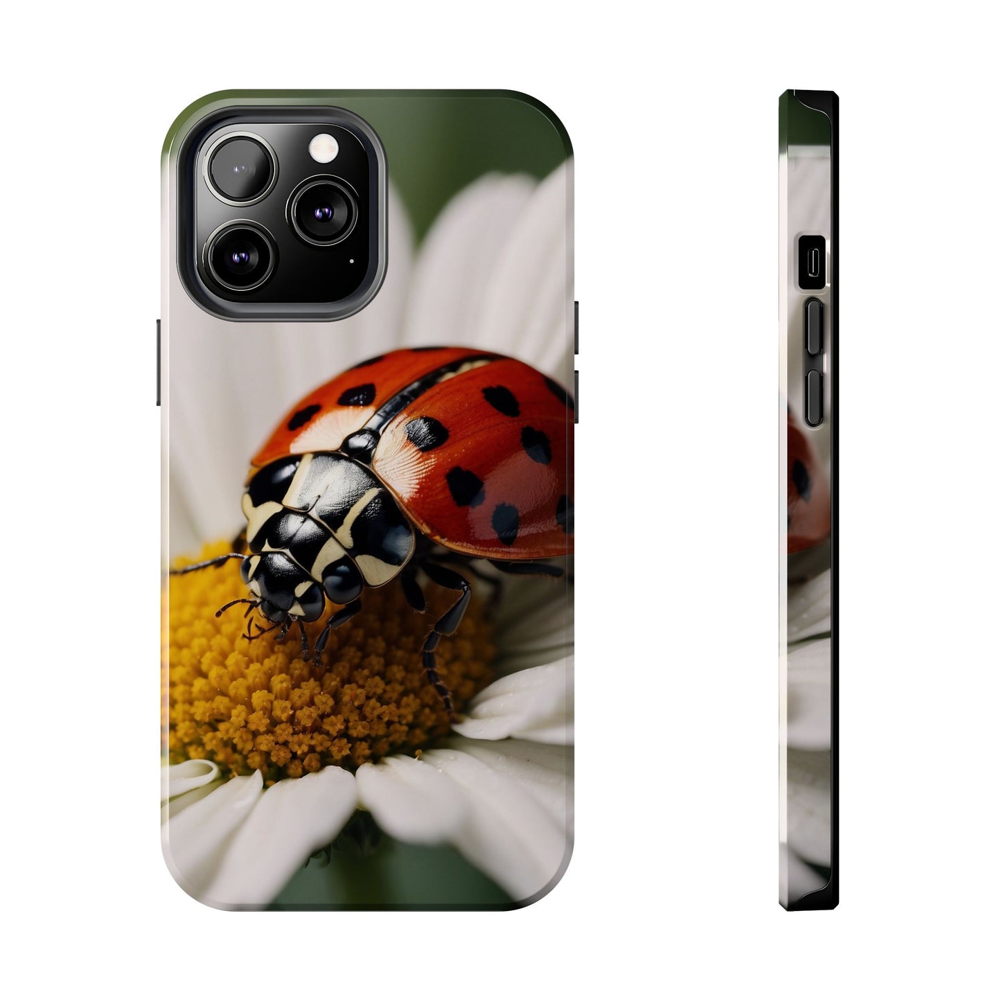 iPhone Case: Ladybug on White Daisy