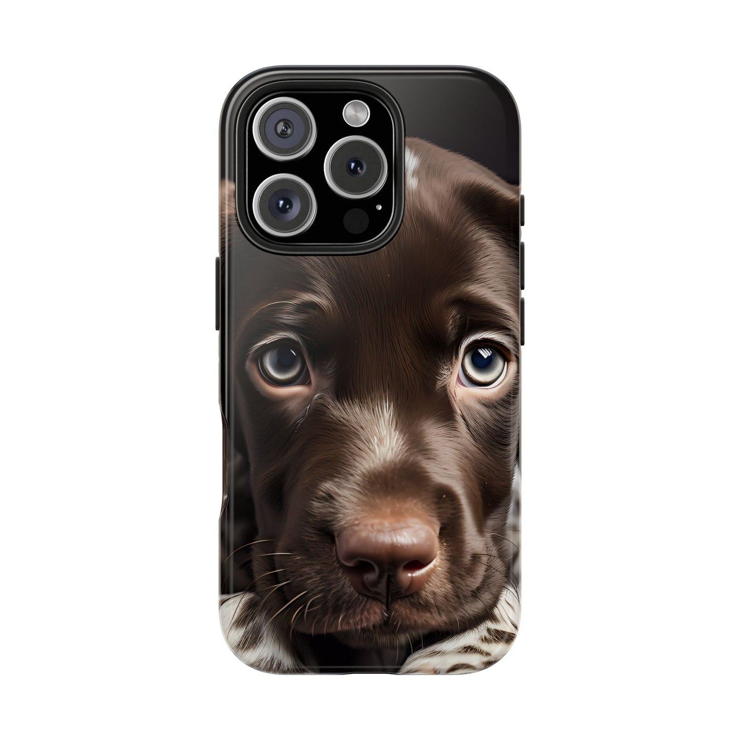 German Shorthaired Pointer iPhone Case - BOGO Cases