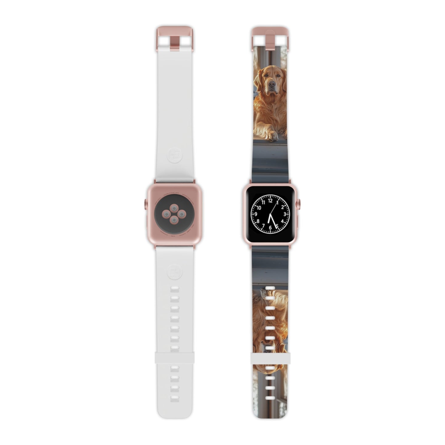 Golden Retriever on Porch Apple Watch Band - BOGO Cases