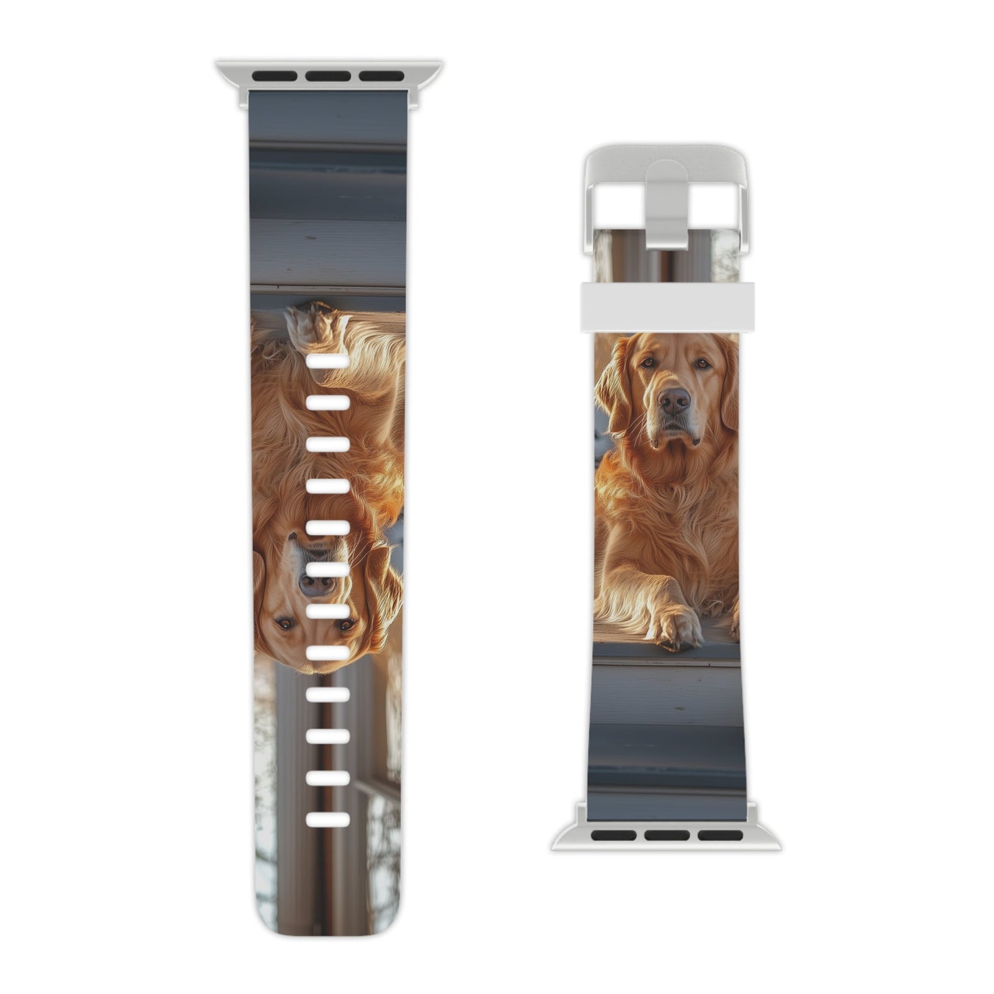Golden Retriever on Porch Apple Watch Band - BOGO Cases